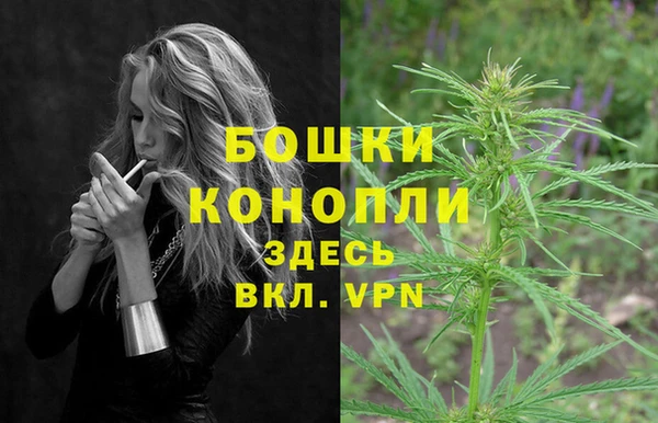 дмт Аркадак