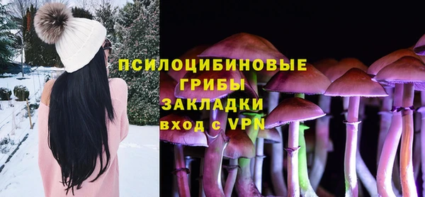 дмт Аркадак