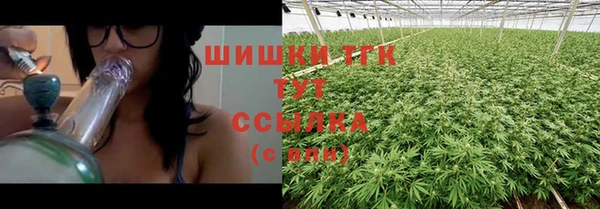 дмт Аркадак