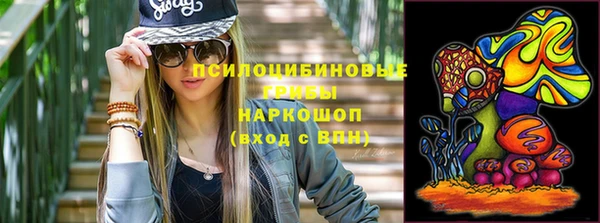 дмт Аркадак
